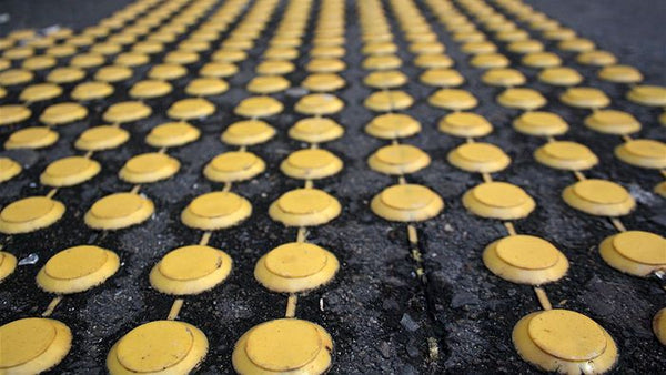 Blindness and Life Expectancy